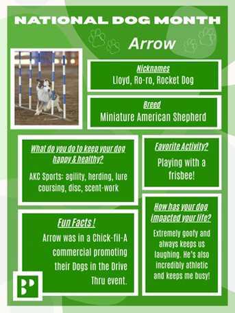 b6ee22fa-f114-4dba-abe9-d05a3e3701fe