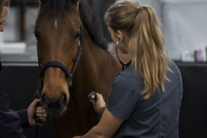 Top Animal Health Recruiters
